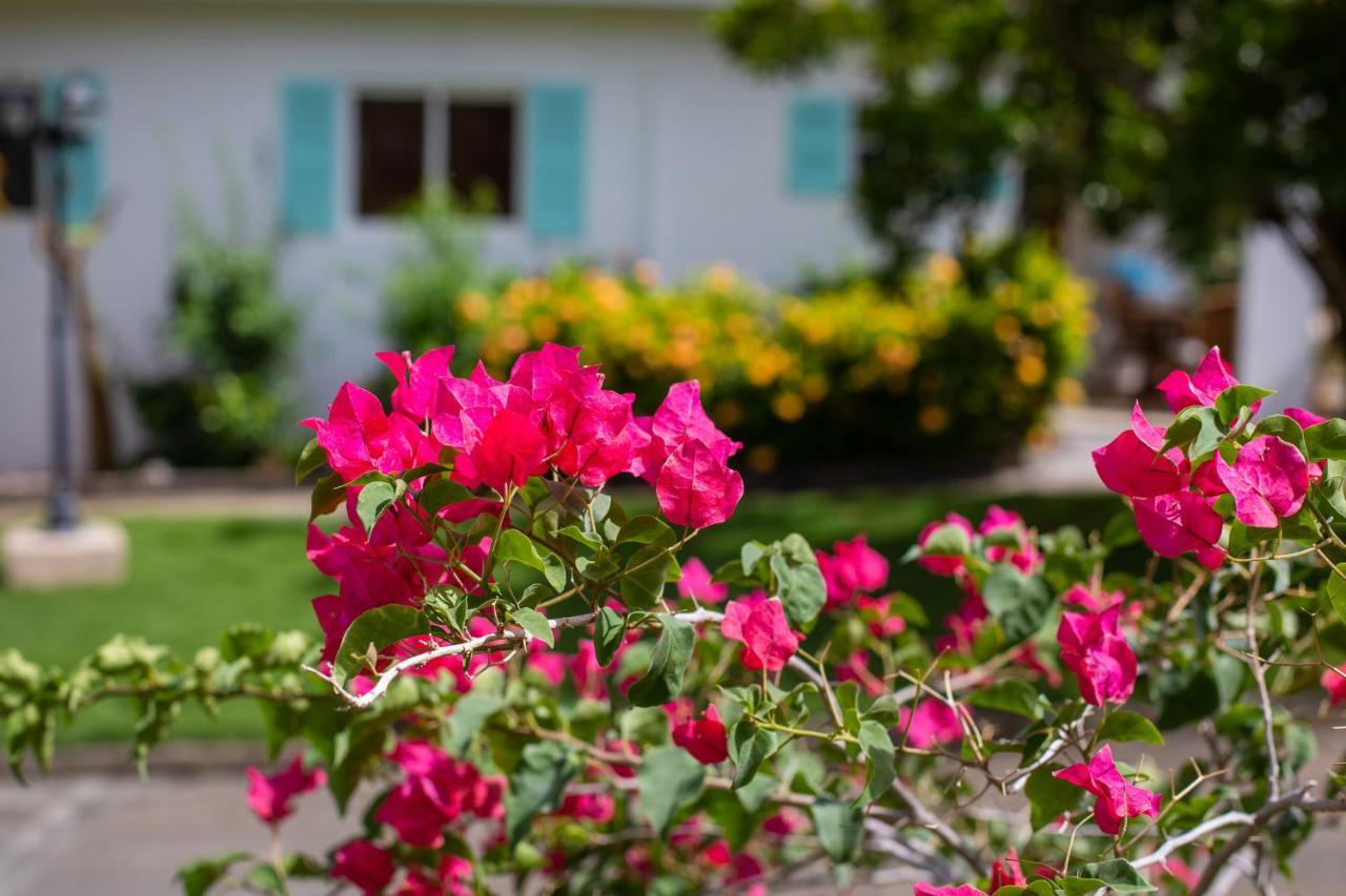 Tuk Tropical Boutique Resort Jan Thiel Willemstad Kültér fotó
